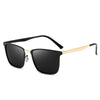 Gold Black - Gray / Polarized